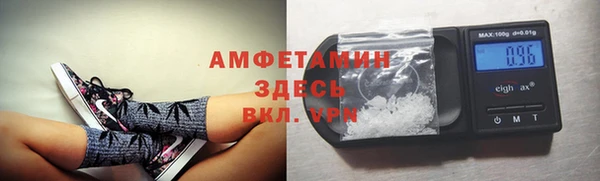 гидра Чита