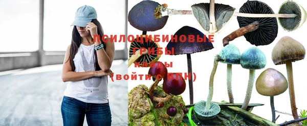 эйфоретик Кострома