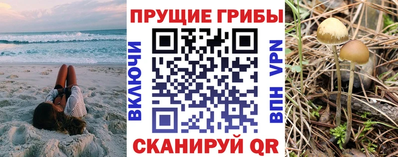 Псилоцибиновые грибы Magic Shrooms  Лукоянов 